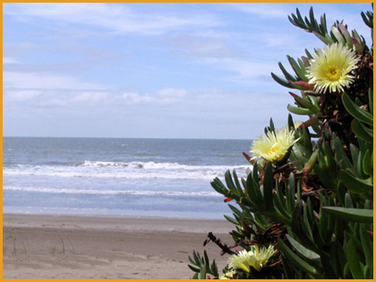 www.balconesalmar.com.ar